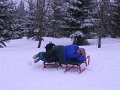 35 Rozcestí pod Kolínskou